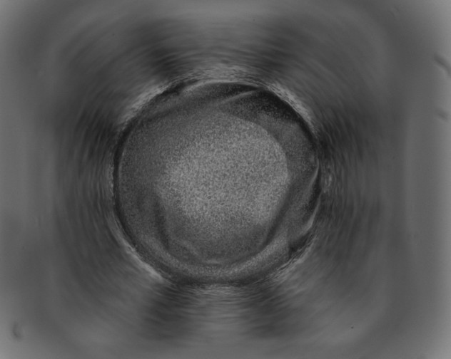 X0000091370581200709071328