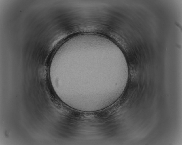 X0000091370583200709071328