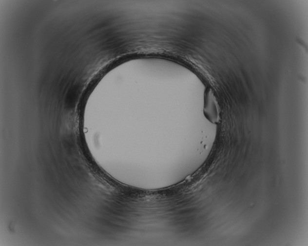 X0000091370584200709071328