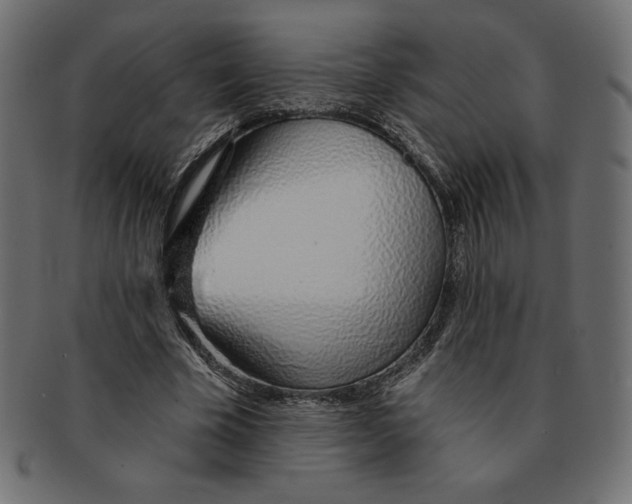 X0000091370585200709071328