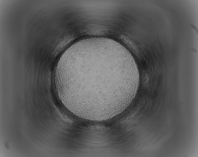 X0000091370586200709071328