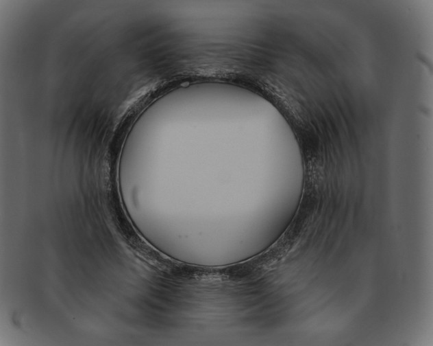 X0000091370587200709071328