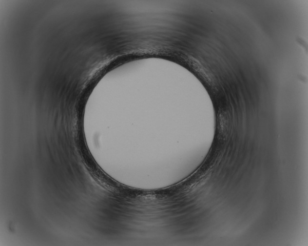 X0000091370588200709071328