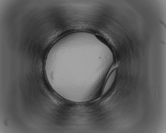 X0000091370589200709071328