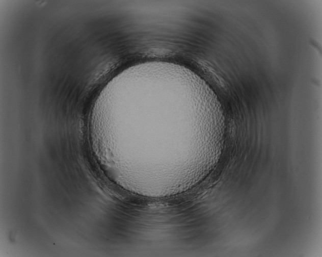 X0000091370591200709071328