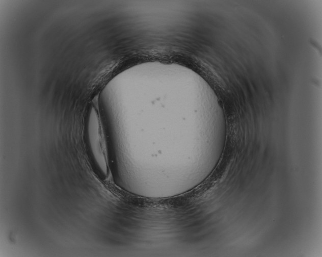 X0000091370593200709071328