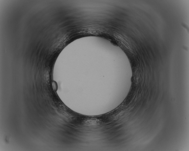 X0000091370595200709071328