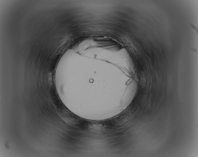 X0000091370598200709071328