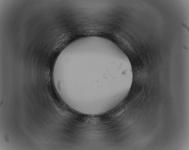 X0000091370599200709071328