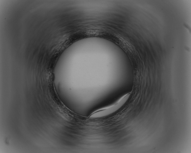 X0000091370601200709071328