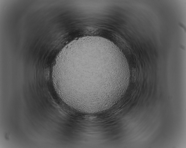 X0000091370602200709071328