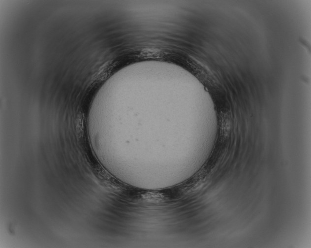 X0000091370603200709071328