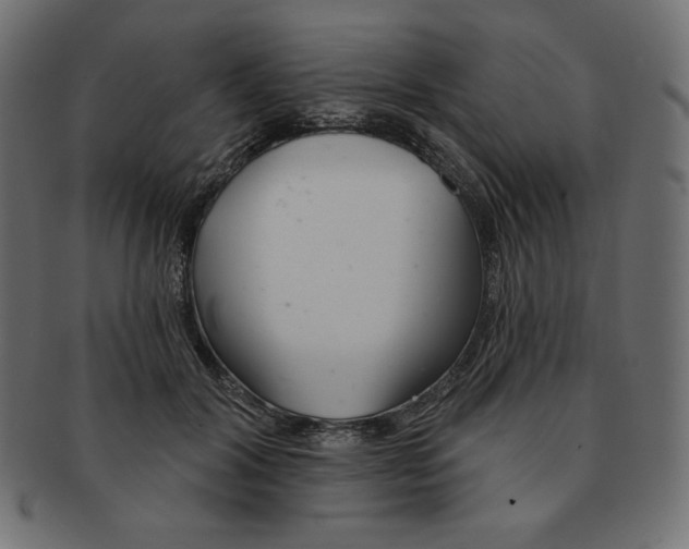 X0000091370604200709071328