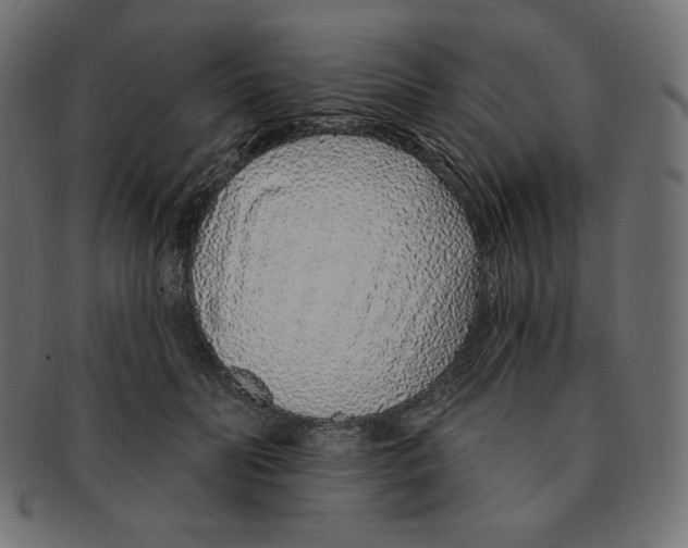 X0000091370606200709071328