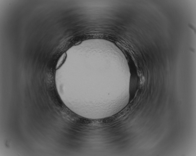 X0000091370609200709071328