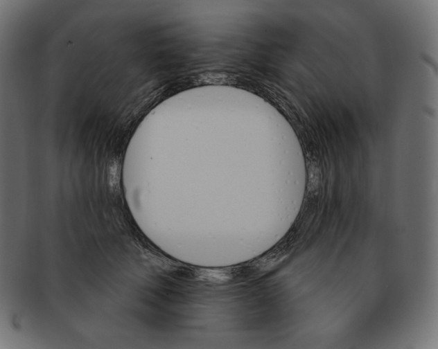 X0000091370610200709071328