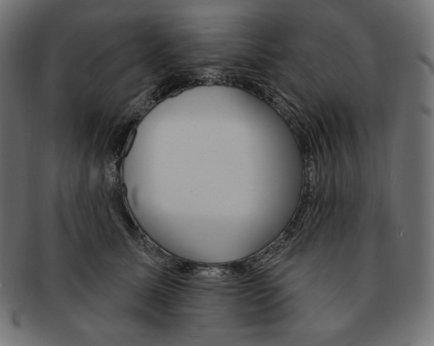 X0000091370611200709071328