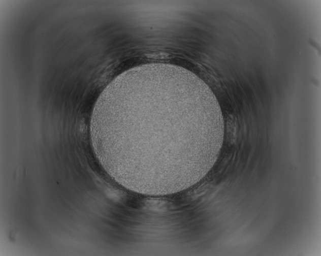 X0000091370614200709071328