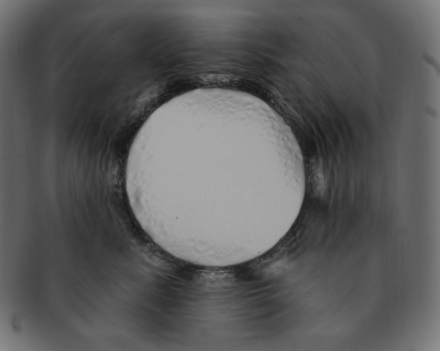 X0000091370619200709071327