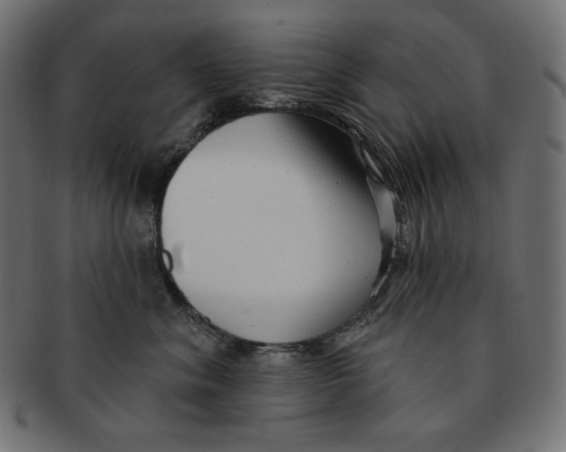 X0000091370620200709071327