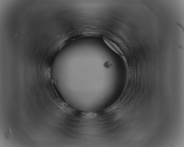 X0000091370621200709071327