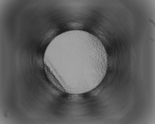 X0000091370622200709071327