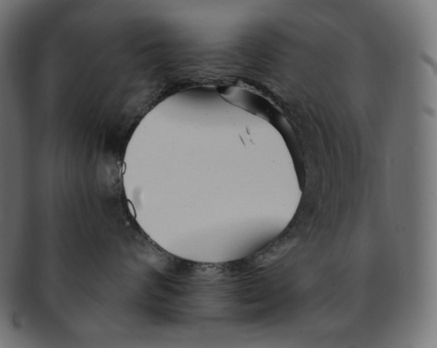 X0000091370624200709071327