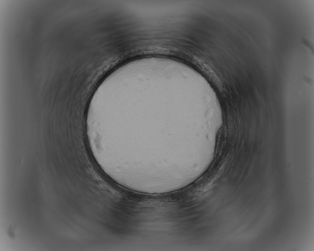 X0000091370625200709071327