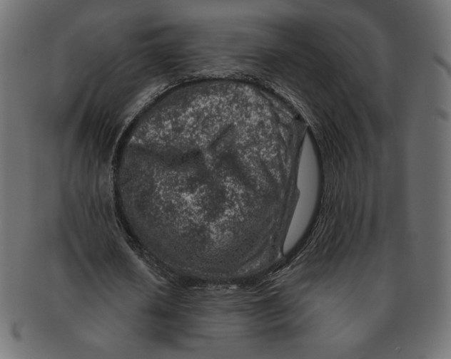 X0000091370626200709071327