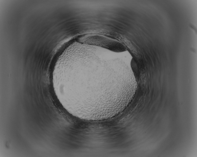 X0000091370628200709071327