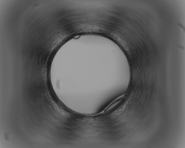 X0000091370629200709071327