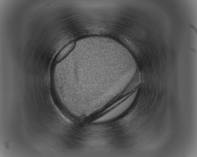 X0000091370630200709071327