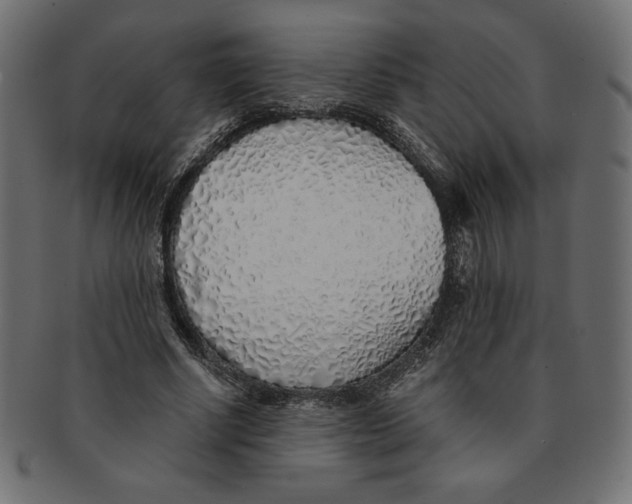 X0000091370634200709071327