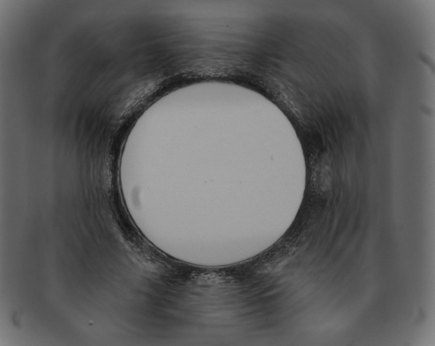 X0000091370635200709071327