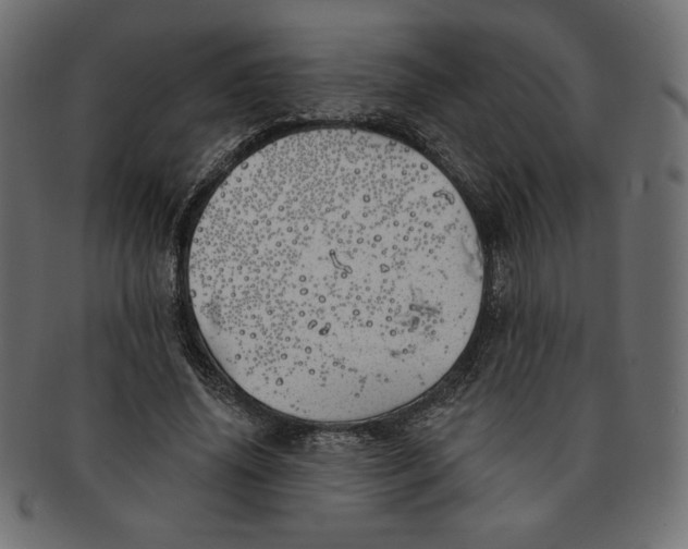 X0000091370636200709071327