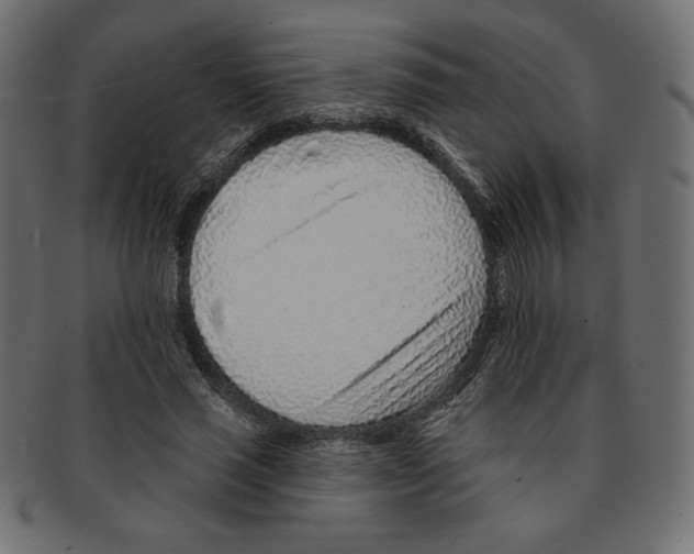 X0000091370637200709071327