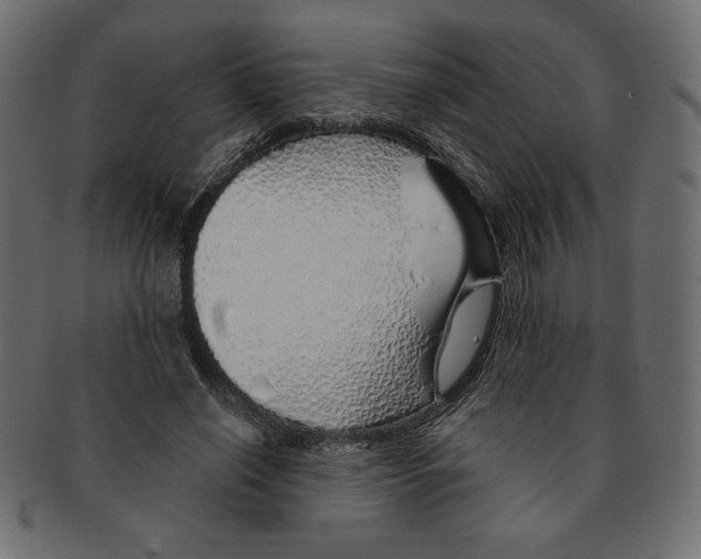 X0000091370638200709071327