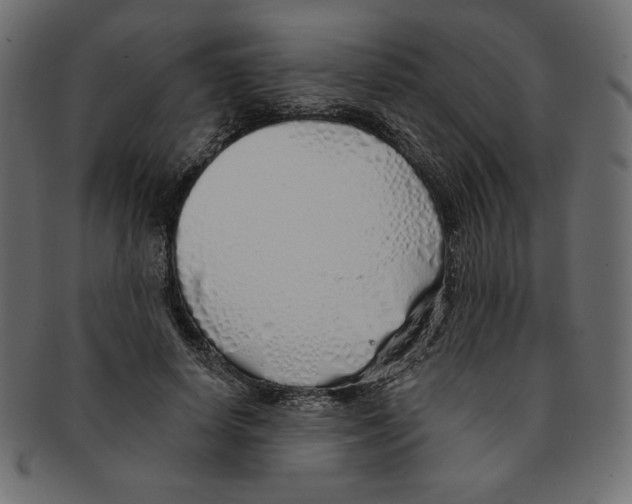 X0000091370642200709071327