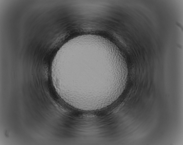 X0000091370644200709071327