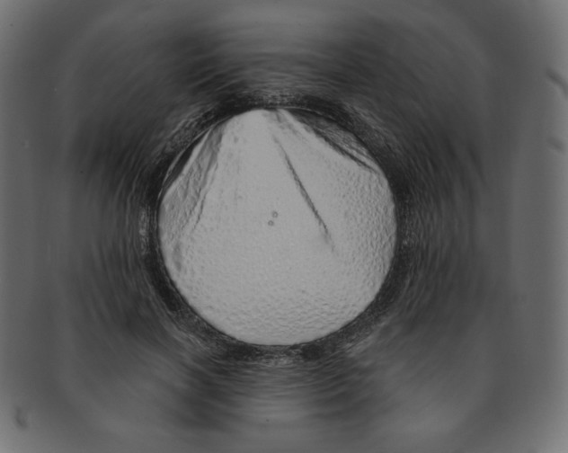 X0000091370646200709071327