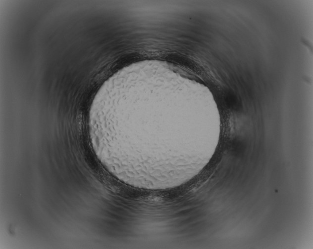 X0000091370647200709071327