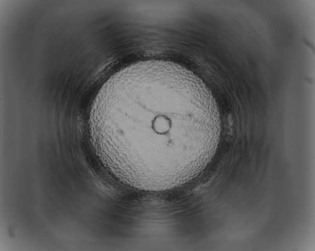 X0000091370648200709071327