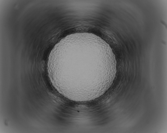 X0000091370649200709071327