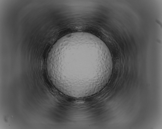 X0000091370651200709071327