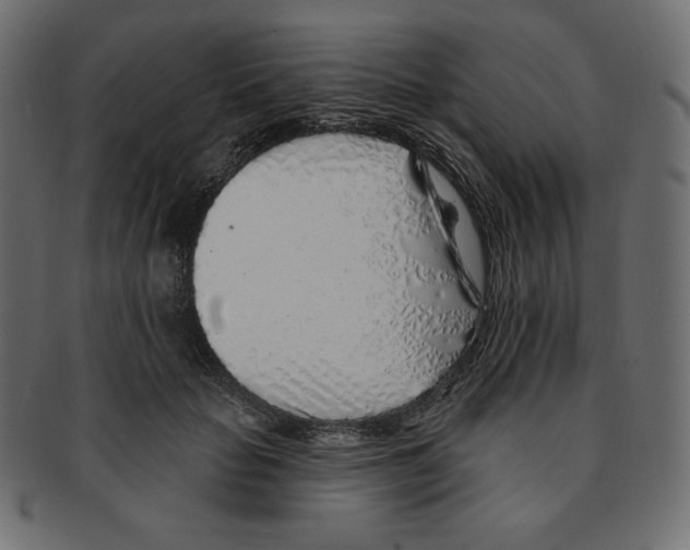 X0000091370653200709071327