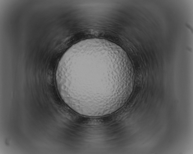 X0000091370656200709071327