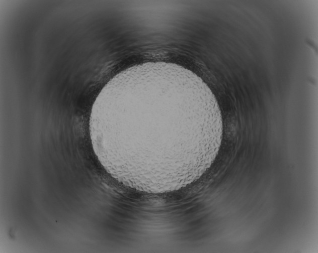 X0000091370658200709071327