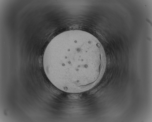 X0000091370661200709071327