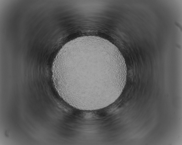 X0000091370662200709071327