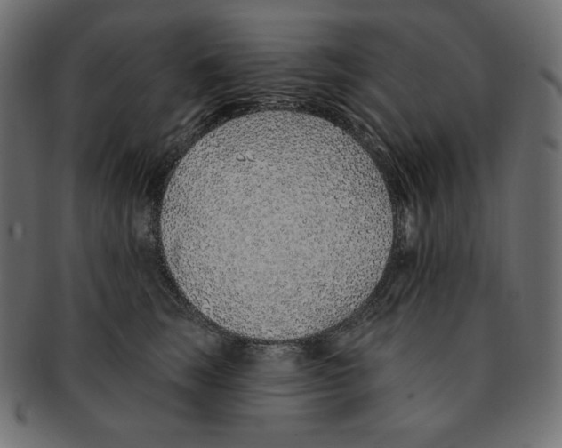 X0000091370663200709071327